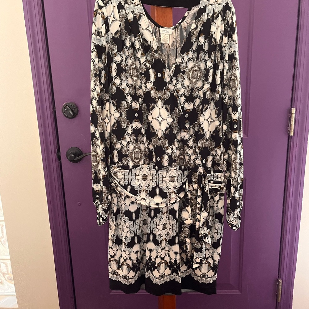Vintage Gorgeous Cache dress size small. Worn one time only.